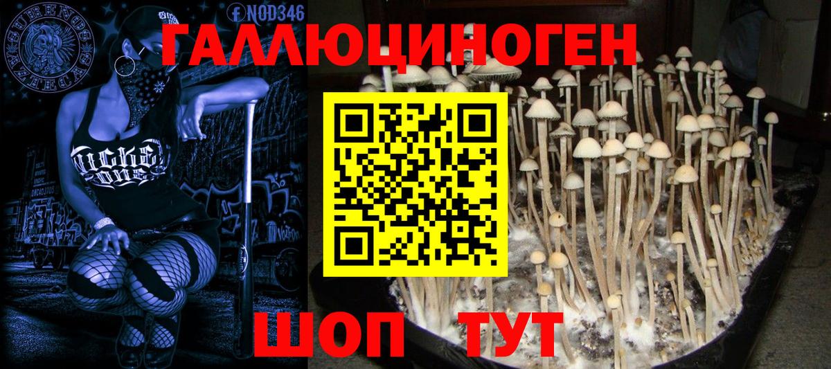 Псилоцибиновые грибы мухоморы Конаково